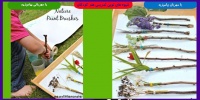 خلاقیت های قلم مویی برای کودکان 3 Creative brushes for kids2 compressor