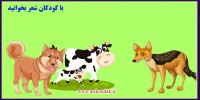 شعر کودکان موضوع حیوانات 5 Childrens poetry subject animals4