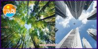 نقاشی دایره ای برای کودکان 5 نقاشی دایره ای برای کودکان